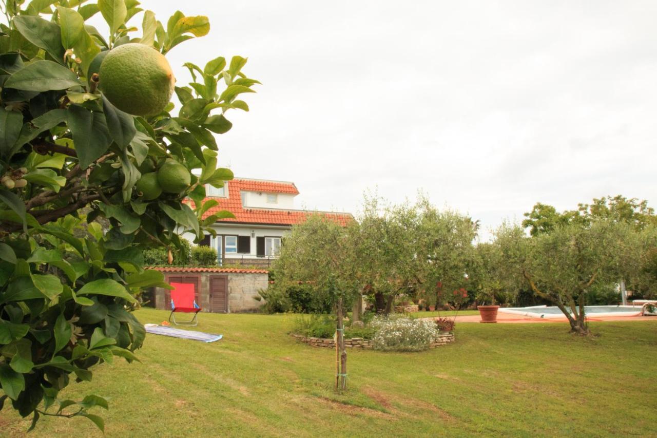 La Casa Di Iole Apartment Cogna Exterior photo